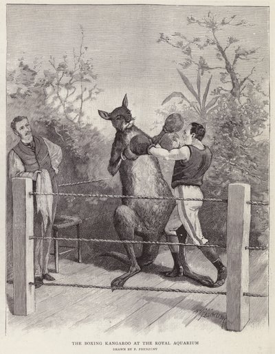 Boxerský klokan v Royal Aquarium, Londýn (litho) od Paul Frenzeny