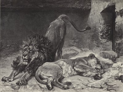 Probuzení lva od Paul Friedrich Meyerheim