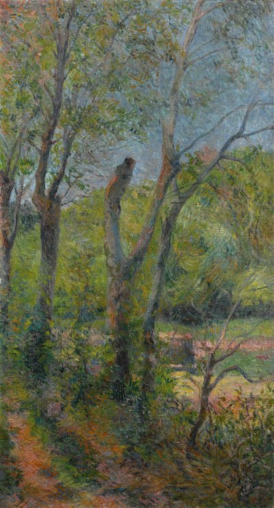 Francouzština:  Les Saules Willows od Paul Gauguin