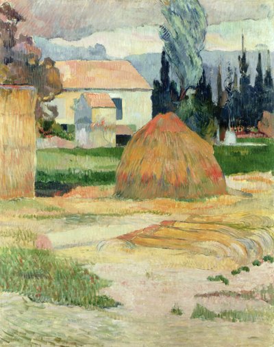 Krajina poblíž Arles od Paul Gauguin