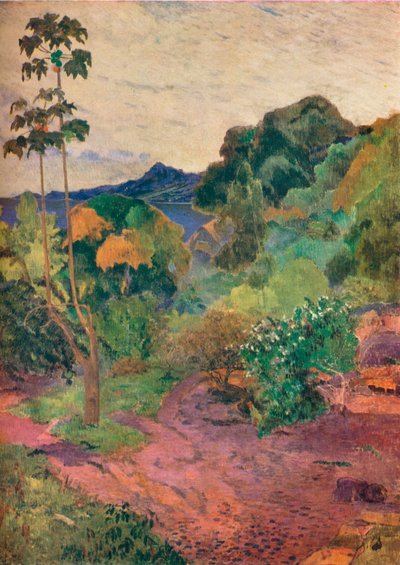 Krajina Martiniku, 1887 od Paul Gauguin