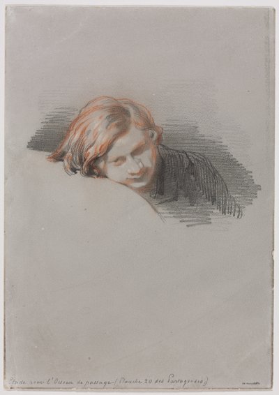 Vedoucí studie mladého muže pro LOiseau de Passage, 1853. od Paul Gavarni