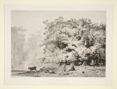 Les poblíž Fontainebleau od Paul Huet