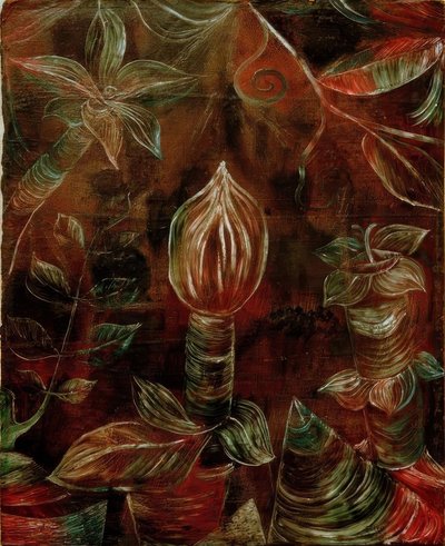 Decorative plantfotografie pupen od Paul Klee