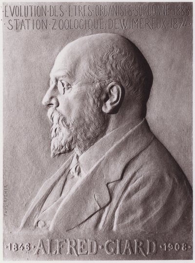 Alfred Giard (1846-1908), zoolog, portrét (litho) od Paul Marie Louis Pierre Richer