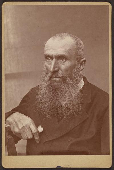 Portrét muže s licousy a vousy od Paul Nadar