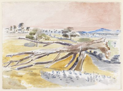 Monster Field, Studium II od Paul Nash
