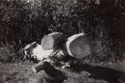 Vyhledání objektu od Paul Nash