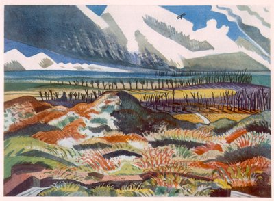 Ruined Country, Vimy, od britských umělců na frontě, pokračování západní fronty, část třetí, Paul Nash od Paul Nash