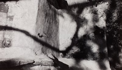 Step Edge; pod Nashovou zahradou u New House, Rye, Sussex od Paul Nash