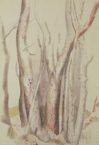Studie zalesněné krajiny od Paul Nash