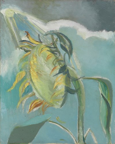 Slunečnice a Slunce, c. 1945 (olej na plátně) od Paul Nash