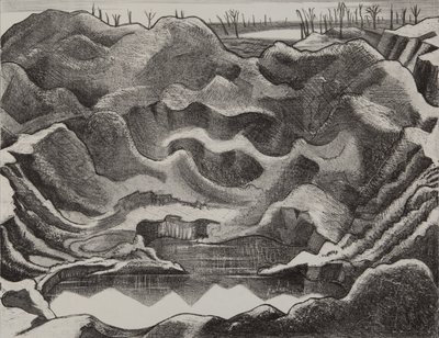 Důlní kráter, Hill 60, Ypres Salient od Paul Nash