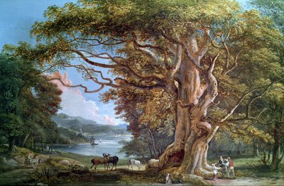 Starobylý buk, 1794 od Paul Sandby