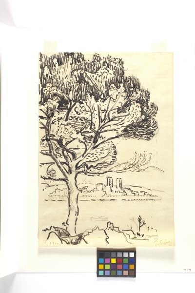 Antibes, Umbrella Pine V popředí (Antibes, Pin Pignon Au Premier Plan) (kresba černou tužkou na žlutohnědý papír) od Paul Signac