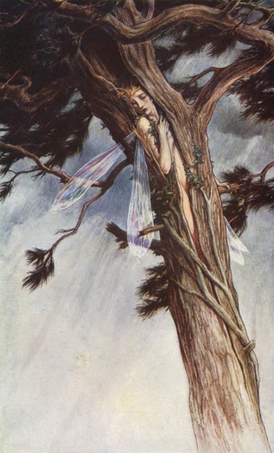 Bouře od Williama Shakespeara, dějství I, scéna 2 (barevné lito) od Paul Vincent Woodroffe