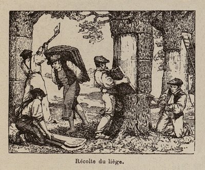  od Paul de Laubadere