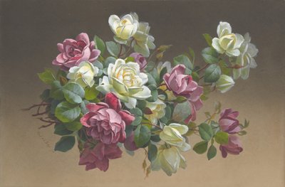 Květiny: Růže, konec 19.-začátek 20. století. od Paul de Longpré