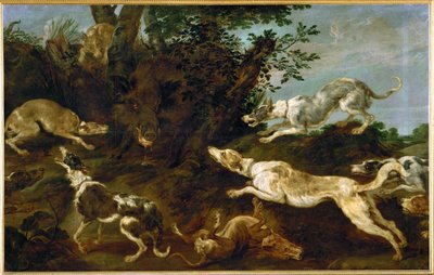 Lov divočáků od Paul de Vos