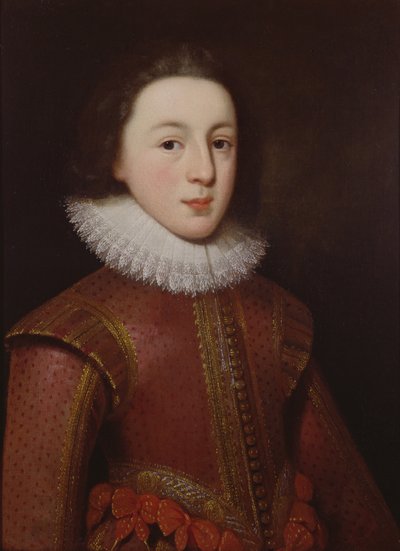 Portrét Henryho, prince z Walesu od Paul van Somer