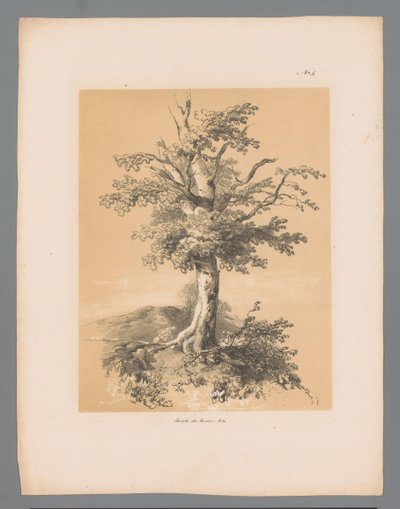 Výložník Malebné tváře od Pauluse Lauterse (název série) Etrennes pittoresques pour 1839, od Lauterse (název série) od Paulus Lauters