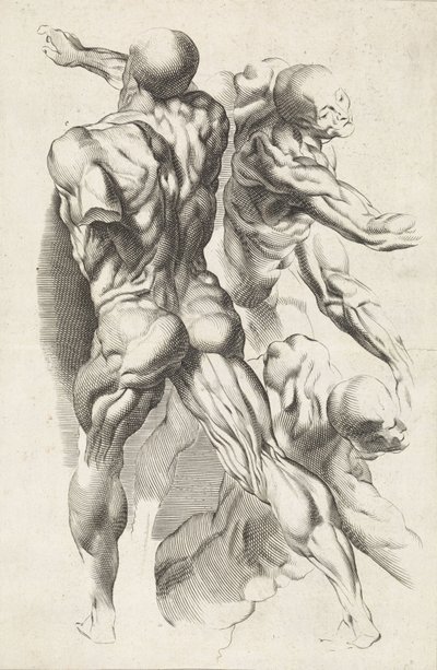 Anatomická studie tří postav s nataženými pažemi Kniha kreslení Petera Paula Rubense (název série) od Paulus Pontius