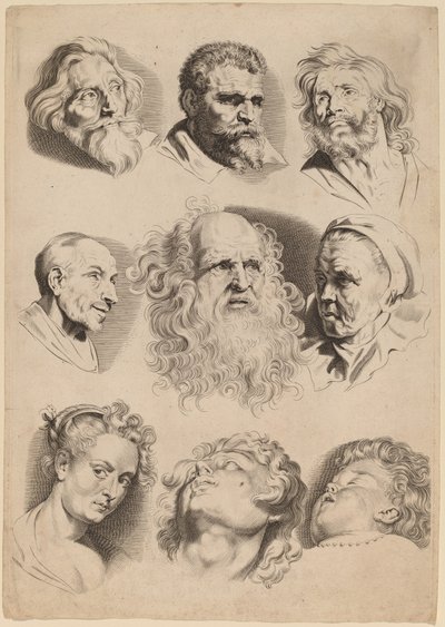 Devět hlav od Paulus Pontius after Sir Peter Paul Rubens