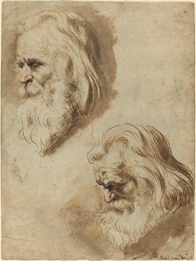 Dvě studie hlavy staršího muže od Paulus Pontius after Sir Peter Paul Rubens