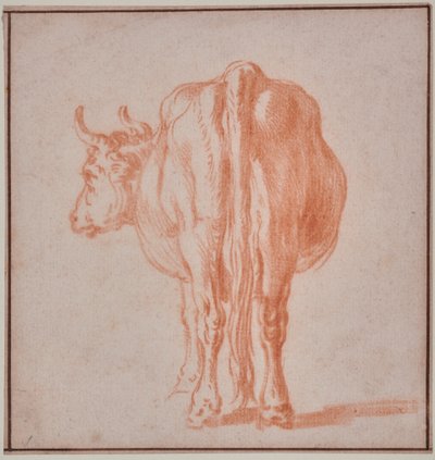 Kráva (studie na zvířatech) od Paulus Potter