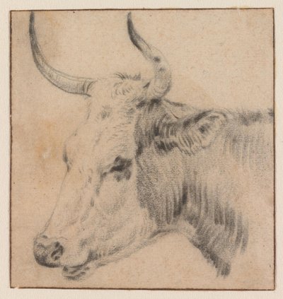  od Paulus Potter