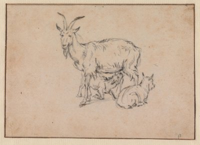 od Paulus Potter