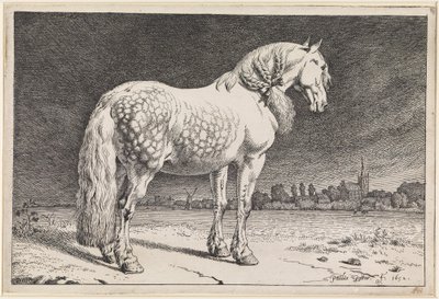  od Paulus Potter