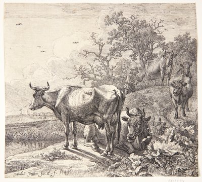  od Paulus Potter
