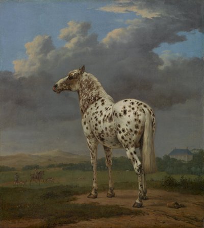 Piebald Horse, asi 1654 od Paulus Potter