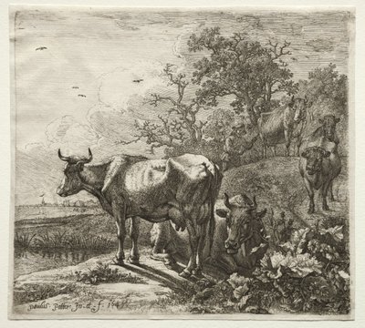 Pastevec krav. od Paulus Potter