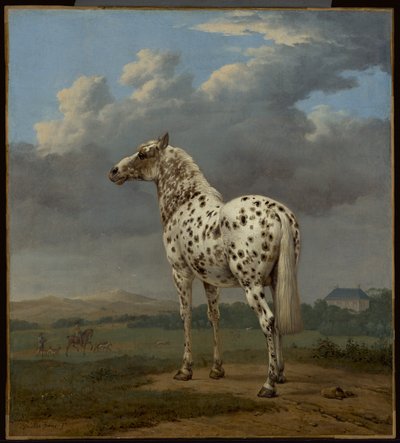 Kůň "Piebald" od Paulus Potter
