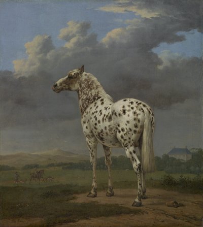"Piebald" kůň, kolem 1650-4 (olej na plátně) od Paulus Potter