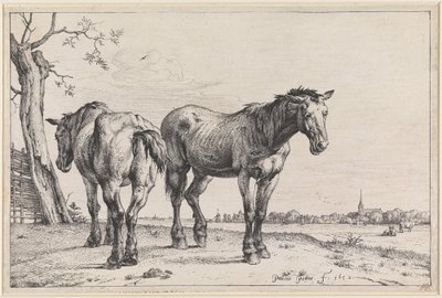  od Paulus Potter