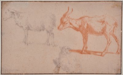 Dvě ovce a koza (studie zvířat) od Paulus Potter
