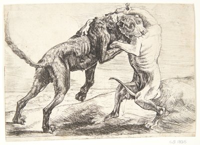 Dva psi bojují od Paulus van Hillegaert (II)