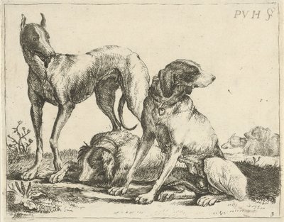 Tři psi Různí psi (název série) od Pauwels van Hillegaert