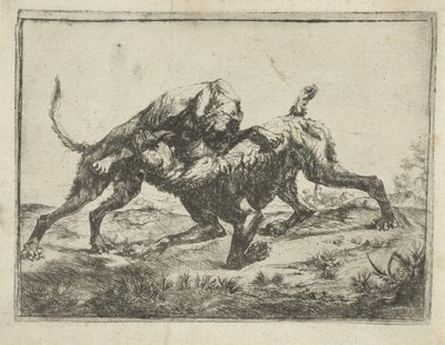bojových psů od Pauwels van Hillegaert