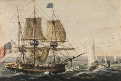 Doplnění lodního spižírny treskou u pobřeží Newfoundlandu, 1811-ca. 1813. od Pavel Petrovic Svin