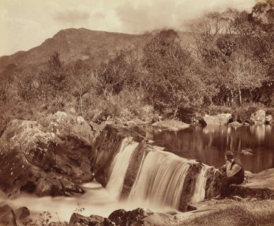 Vodopád, hrabství Wicklow,c. 1870 (foto) od Payne Jennings