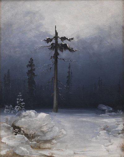 Strom v zimním lese od Peder Balke