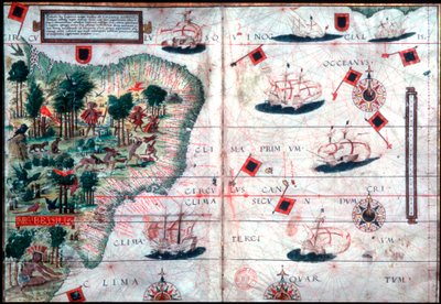 Mapa Brazílie portugalskými navigátory Pedro Reinel a Lopo Homen, c1525. od Pedro Reinel