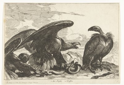 Sup a orel s hadem 1. des Aigles 2. Griffon (titul na předmětu) Ptáci ze zvěřince ve Versailles (název série) od Peeter Boel (attributed to)