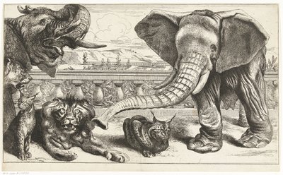 Sloni, lvi a rysi v zahradách Versailles od Peeter Boel (attributed to)
