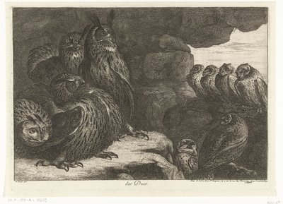 Sovy v jeskyni des Ducs (název na objektu) Ptáci ze zvěřince ve Versailles (název série) od Peeter Boel (attributed to)