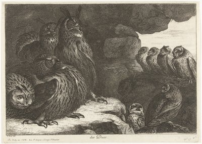 Sovy v jeskyni des Ducs (název na objektu) Ptáci ze zvěřince ve Versailles (název série) od Peeter Boel (attributed to)